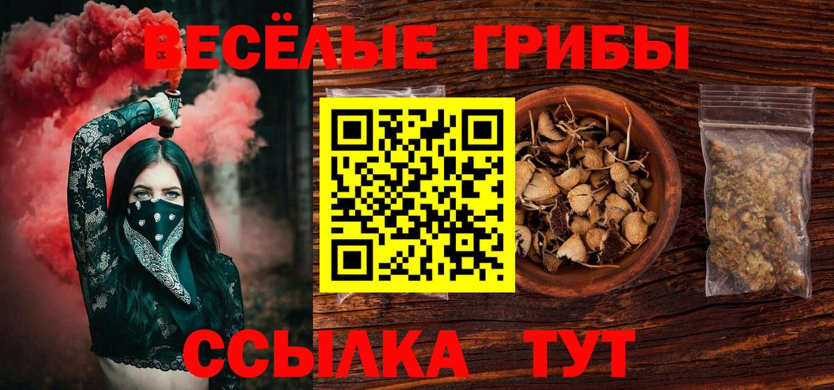 Псилоцибиновые грибы прущие грибы Ревда