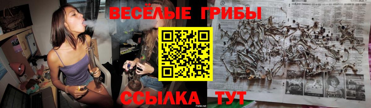 Ревда  Галлюциногенные грибы Psilocybe  как найти закладки  Вход с VPN 