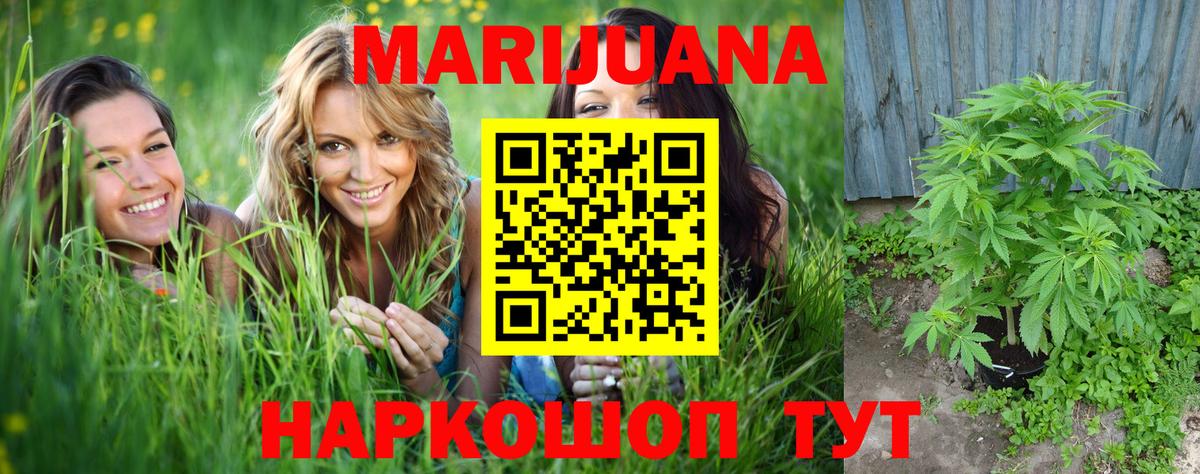 Каннабис индика Ревда